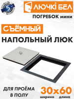 Напольный люк со съемной крышкой Погребок Мини 30х60 детальное фото