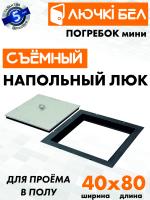 Напольный люк со съемной крышкой Погребок Мини 40х80 детальное фото